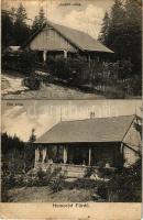 Homoródfürdő, Homoród-fürdő, Baile Homorod; Judith villa, Gál villa. Dragomán kiadása / villas (b)