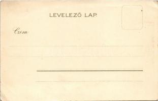 Buziásfürdő, Baile Buzias; gyógyfürdő, szálloda / spa hotel. Kunstanstalt Kosmos 146. Art Nouveau, l...