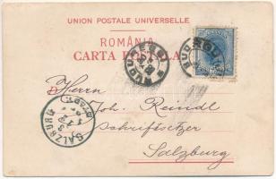 1898 Bucharest, Bukarest, Bucuresti, Bucuresci; Palatul Regal, Fundatiunea Universitara Caroli. Stor...