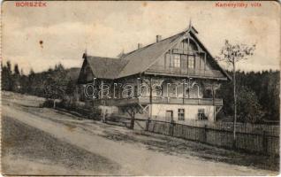 Borszék, Borsec; Kamenyitzky villa, nyaraló (képeslapfüzetből). Pollatschek Gyula kiadása / villa (from a postcard booklet) (fl)