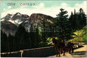 Csík-Ország, lovas kocsi. No. 377-394 / Csíkszék, horse cart (EK)