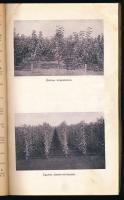 Schrikker Sándor faiskolájanak árjegyzéke. 1940-41. Bp., 1940, M. Kir. Egyetemi Nyomda,135+1 p.+4 t....