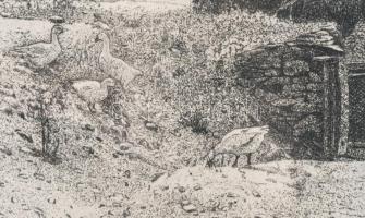 Dudás Jenő (1900-1991): Tihany. Rézkarc, papír, jelzett üvegezett keretben 29x39cm