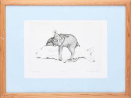 K. Bereczky Ildikó: Zsákmány. Színezett rézkarc. Jelzett, sorszámozott. 10/50. 16x23 cm Üvegezett ke...