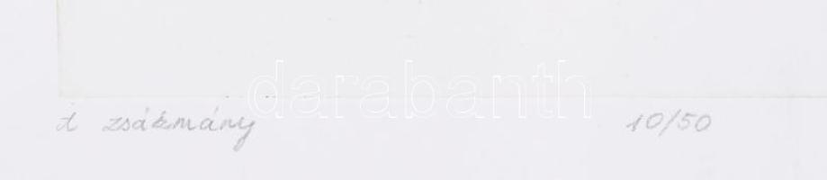 K. Bereczky Ildikó: Zsákmány. Színezett rézkarc. Jelzett, sorszámozott. 10/50. 16x23 cm Üvegezett ke...