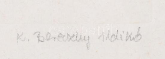 K. Bereczky Ildikó: Egyiptom. Színezett rézkarc. Jelzett, sorszámozott. 19/50. 32x21 cm Üvegezett ke...