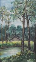 Németh E. jelzéssel: Erdő ház, tavacska. Olaj, vászon, keretben 29x16 cm