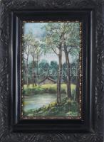 Németh E. jelzéssel: Erdő ház, tavacska. Olaj, vászon, keretben 29x16 cm