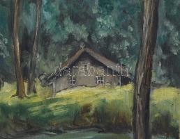 Németh E. jelzéssel: Erdő ház, tavacska. Olaj, vászon, keretben 29x16 cm