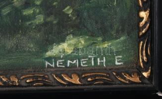 Németh E. jelzéssel: Erdő ház, tavacska. Olaj, vászon, keretben 29x16 cm