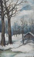 Németh E. jelzéssel: Téli erdő. Olaj, vászon, sérült keretben 29x16 cm