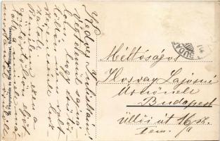 1917 Budapest I. Királyi vár és jobbparti részlet, Várkert Bazár, gőzhajó a Szilágyi térre (Rb)