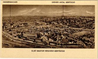 Budapest X. Kőbánya, Első magyar részvény-serfőzde. Haggenmacher, Dreher Antal serfőzdéi, sörgyár reklám