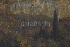 Jelzés nélkül: Őszi erdő. Olaj, régi vászon, keretben 26x40 cm