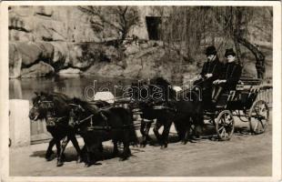 Budapest XIV. Székesfővárosi Állatkert, ötös pony fogat (póni). Hölzel Gyula felvétele