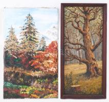 2 db őszi tájkép. Olaj, vászon, olaj farost. 21x35 cm, 15x35 cm Egyi Saltzer jelzéssel.
