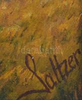 2 db őszi tájkép. Olaj, vászon, olaj farost. 21x35 cm, 15x35 cm Egyi Saltzer jelzéssel