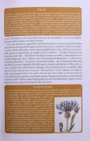 Molnár V. Attila: Kitaibel - Egy magyar tudós élete. Debrecen, 2015, Debreceni Egyetem. Kiadói karto...