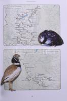 Molnár V. Attila: Kitaibel - Egy magyar tudós élete. Debrecen, 2015, Debreceni Egyetem. Kiadói karto...