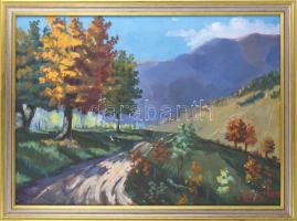 Azonosítatlan. jelzéssel: Őszi hegyoldal. Olaj, vászon, sérülésekkel, jó keretben 78x57 cm