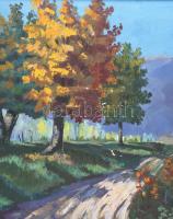 Azonosítatlan. jelzéssel: Őszi hegyoldal. Olaj, vászon, sérülésekkel, jó keretben 78x57 cm