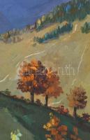 Azonosítatlan. jelzéssel: Őszi hegyoldal. Olaj, vászon, sérülésekkel, jó keretben 78x57 cm