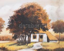 Sámson Erzsébet: Még mindig ősz van, Olaj, farost, jelzett, hátoldalán autográf felirattal. keretben...