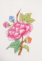 Herendi Eton mintás kagyló alakú kínáló. Jelzett, hibátlan, 15x14 cm