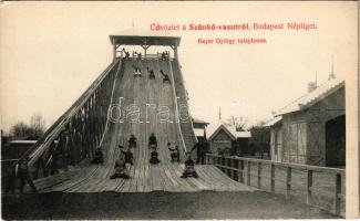 Budapest IX. Népliget, szánkó-vasút. Bayer György tulajdonos (EK)