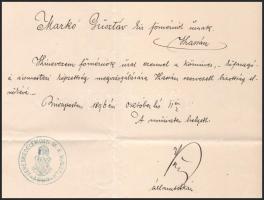 1896 Vörös László (1848-1925) miniszter aláírása államtitkárként kinevezésen