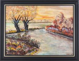 Farkas Gy. jelzéssel: Őszi táj. Olaj, farost, fa keretben 50x36 cm