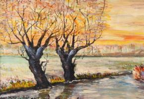 Farkas Gy. jelzéssel: Őszi táj. Olaj, farost, fa keretben 50x36 cm