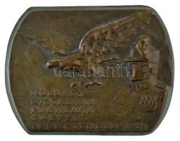 Ausztria 1929. "MÖDLING STOCKERAU PÖCHLARN WETTL 29 SEPTEMBER 1929" bronz lemezjelvény függőleges tűvel (49x38mm) T:VF lyukas Austria 1929. "MÖDLING STOCKERAU PÖCHLARN WETTL 29 SEPTEMBER 1929" bronze badge with vertical pin (49x38mm) C:VF holed