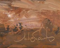 Mág Tamás. (1952 - 2019): Erdélyi paraszt tanya. Olaj, farost, jelzett, 40x60 cm. Minimálisan sérült...