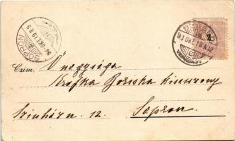 1898 Szeged, gimnázium, látkép. Art Nouveau, floral, litho (EB)