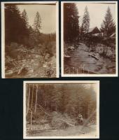 1913 Fogaras, erdei életképek, 3 db hátoldalon feliratozott fotó, 9×12 cm