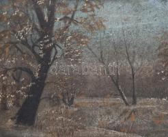 Jelzés nélkül: Téli erdő. Olaj, karton, dekoratív fa keretben. 25x50 cm