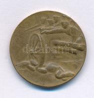 1915. "A Krasniki diadalmas csatában az oroszoktól elvett ágyúból verette az Auguszta-Alap 1914...