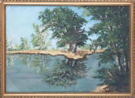 Olvashatatlan jelzéssel: Tükröződés. Olaj, karton, üvegezett fa keretben. 35x48 cm