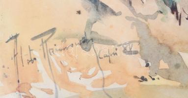 Aldo Raimondi (1902?1997): Capri XV. ofszet nyomat, üvegezett keretben 57x40 cm