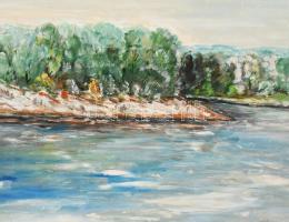 Farkas jelzéssel: Körös torok. Olaj, farost, dekoratív keretben 50x65 cm