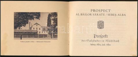 cca 1925 Szászsebes / Mühlbach / Sebes / Sebesul Sasesc, sós fürdő prospektusa német és román nyelve...