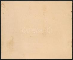 cca 1925 Szászsebes / Mühlbach / Sebes / Sebesul Sasesc, sós fürdő prospektusa német és román nyelve...