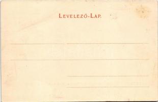 Szeged, Kir. ítélőtábla és ügyészség (Rb)