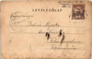 1901 Szeged, Városi gimnázium és Szabadság szobor. D.K. Bp. 518. sz. (EK)