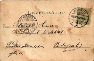 1902 Sopron, Megyeház tér télen este. G. Rüger &amp; Co. Auto-Chrom (b)