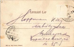 1905 Budapest XIII. Margitsziget. Divald Károly 673. sz. (Rb)
