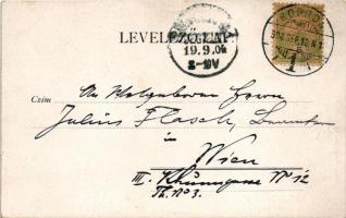 1904 Sopron, Színház. Kummert L. Art Nouveau, floral (fl)