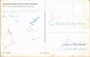 Budapest, Országos Mezőgazdasági Kiállítás. Képzőművészeti Alap, Sziklai Dezső felvétele (gyűrődések...