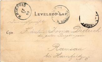 1899 Budapest I. Királyi vár, Várkert Bazár, gőzhajó, sztereó képeslap. Divald Károly 81. sz. (Rb)